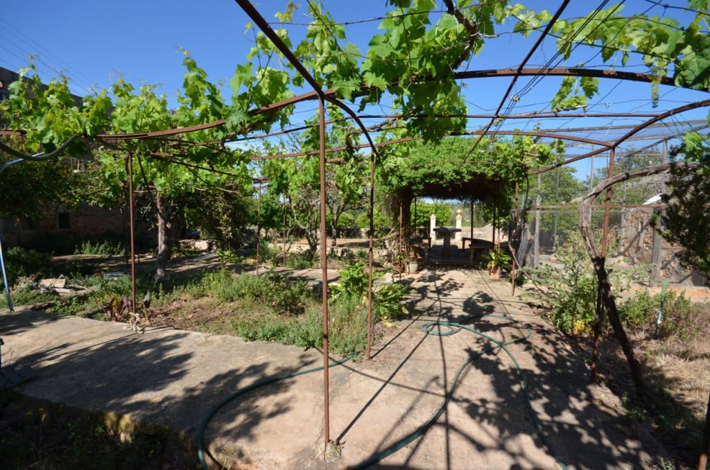 5 sypialnia Finka/Dom wiejski na sprzedaż w Palma de Mallorca - 2 665 000 € (Ref: 7371901)