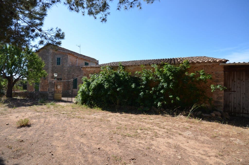 5 sypialnia Finka/Dom wiejski na sprzedaż w Palma de Mallorca - 2 665 000 € (Ref: 7371901)