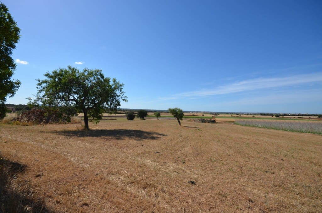 5 sypialnia Finka/Dom wiejski na sprzedaż w Palma de Mallorca - 2 665 000 € (Ref: 7371901)