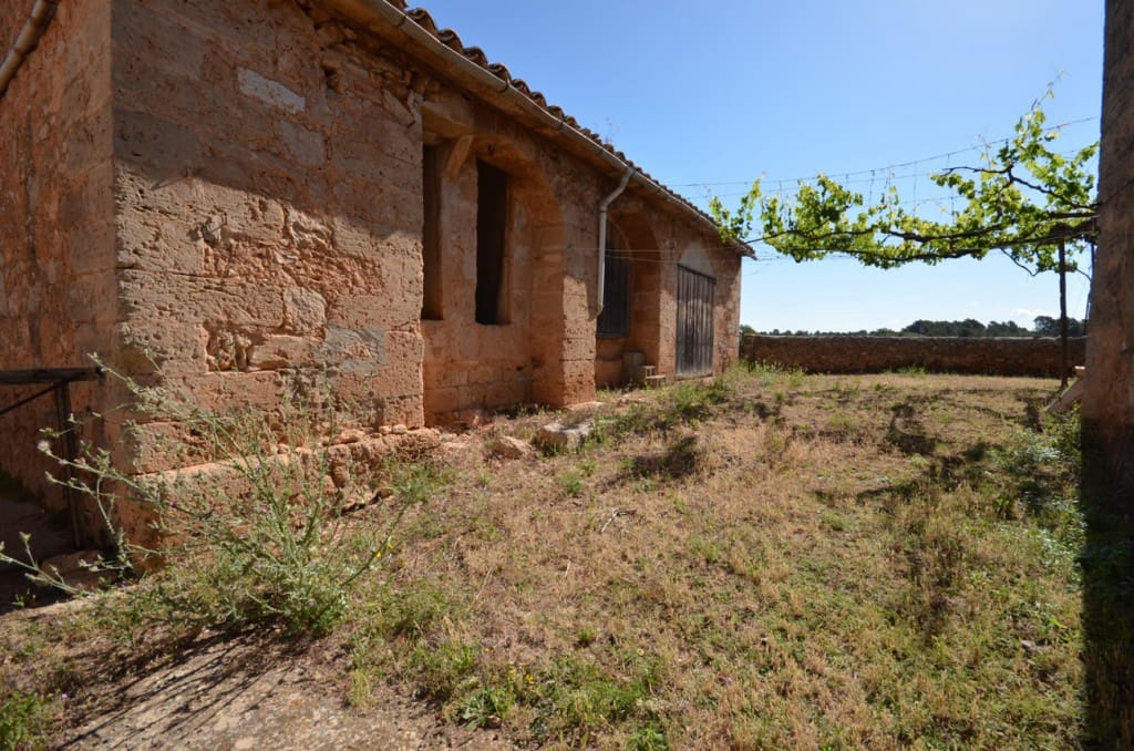 5 sypialnia Finka/Dom wiejski na sprzedaż w Palma de Mallorca - 2 665 000 € (Ref: 7371901)