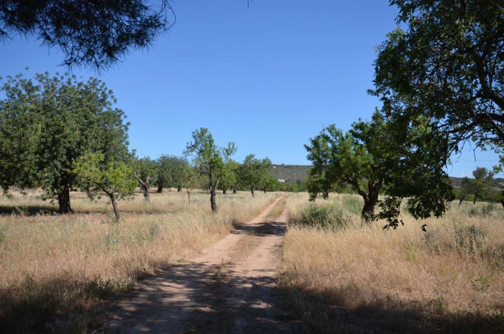 5 sypialnia Finka/Dom wiejski na sprzedaż w Palma de Mallorca - 2 665 000 € (Ref: 7371901)