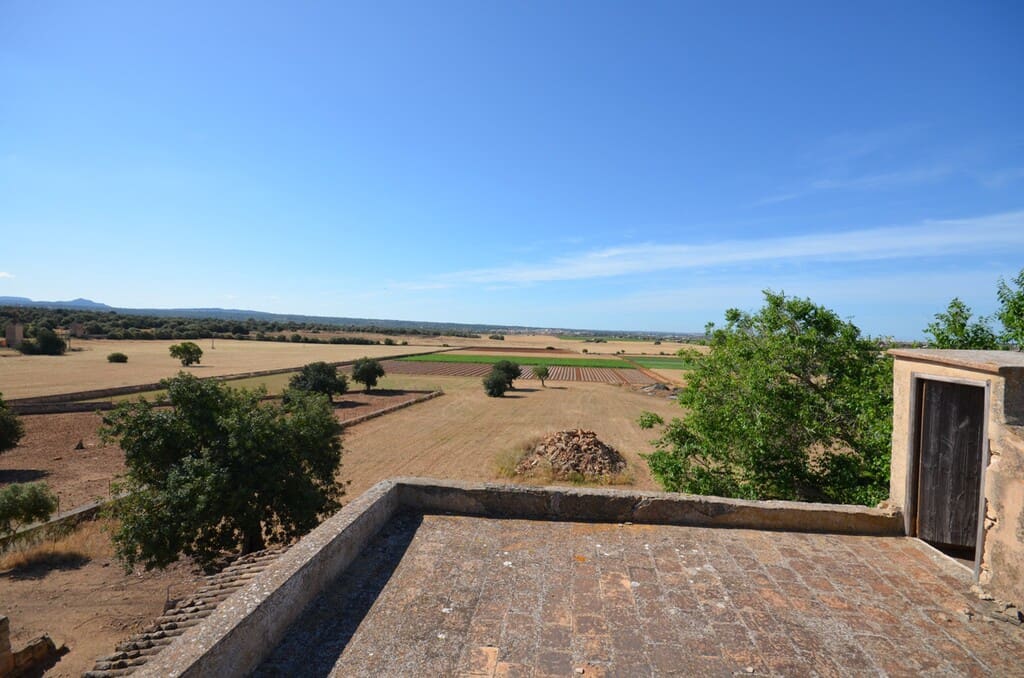 5 quarto Quinta/Casa Rural para venda em Palma de Mallorca - 2 665 000 € (Ref: 7371901)