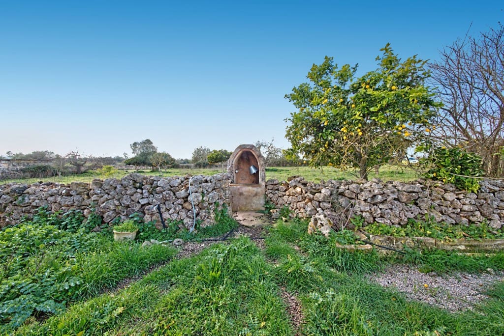 Finca/Country House for sale in Maria de la Salud / Maria de la Salut - € 560,000 (Ref: 7371909)