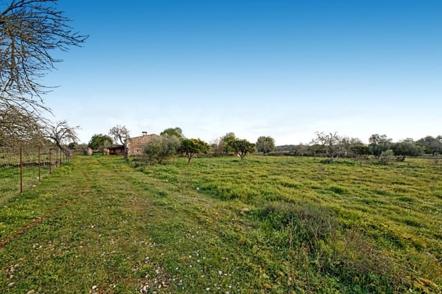 Maalaistalo myytävänä paikassa María de la Salud / María de la Salut - 560 000 € (Ref: 7371909)