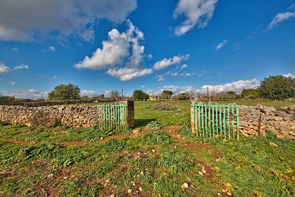 Finca/Country House for sale in Maria de la Salud / Maria de la Salut - € 560,000 (Ref: 7371909)