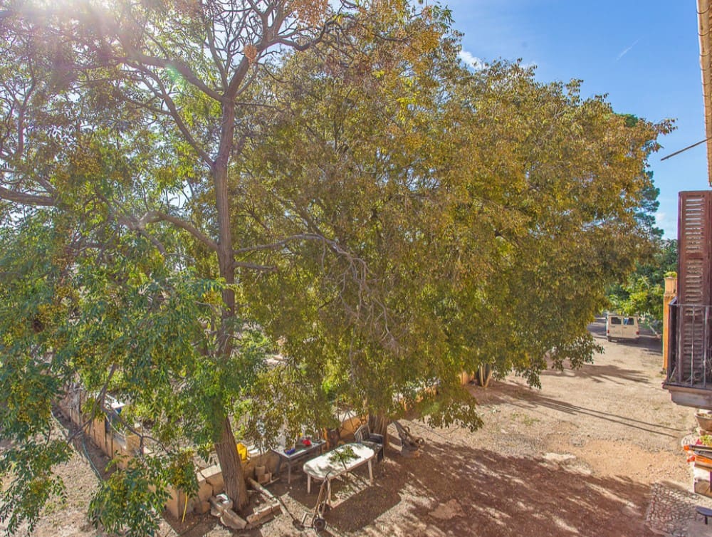 Finca/Landehus til salg i Marratxi - € 5.500.000 (Ref: 8523270)