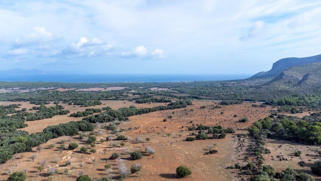 Finca/Herregård til salgs i Arta - € 7 800 000 (Ref: 8523295)