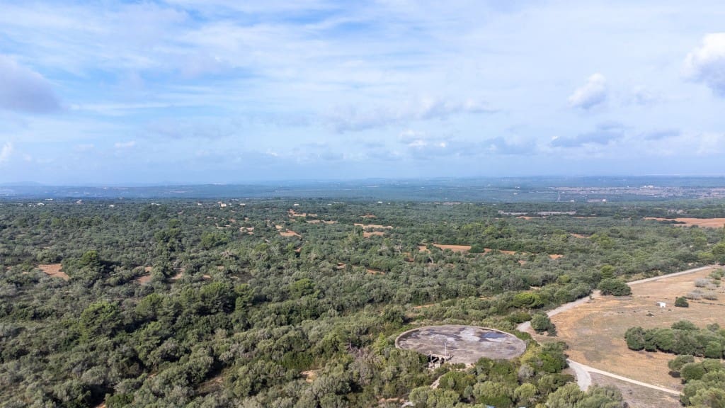 Finca/Herregård til salgs i Arta - € 7 800 000 (Ref: 8523295)