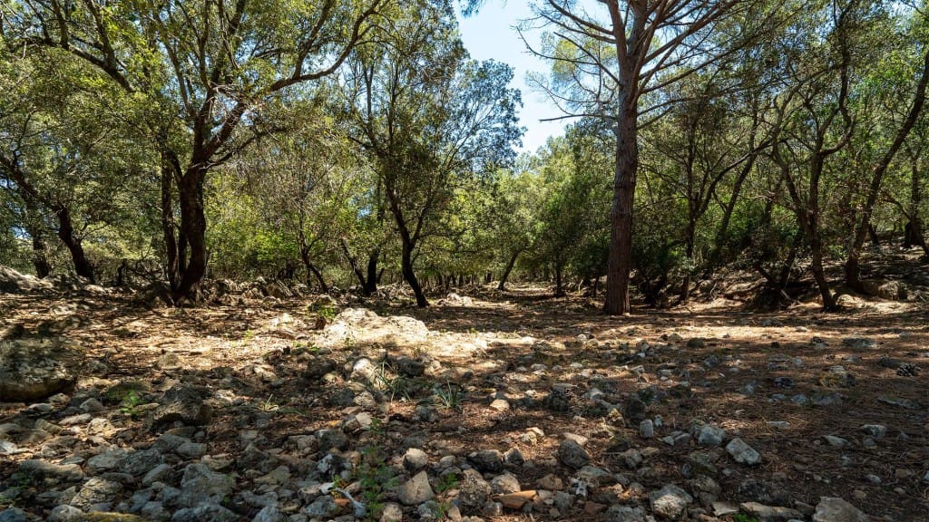 8 soverom Finca/Herregård til salgs i Cala San Vicente / Cala Sant Vicenc med svømmebasseng - € 7 900 000 (Ref: 8523298)