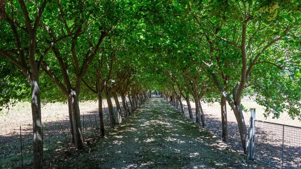 8 soverom Finca/Herregård til salgs i Cala San Vicente / Cala Sant Vicenc med svømmebasseng - € 7 900 000 (Ref: 8523298)