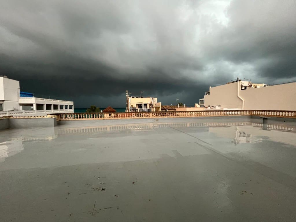 Kommersiell til salgs i Playa de Palma - € 2 500 000 (Ref: 8523337)