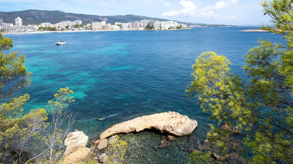 5 sovrum Villa till salu i Cala Vinyes / Cala Vinyas / Cala Vinas med pool - 12 000 000 € (Ref: 8523434)