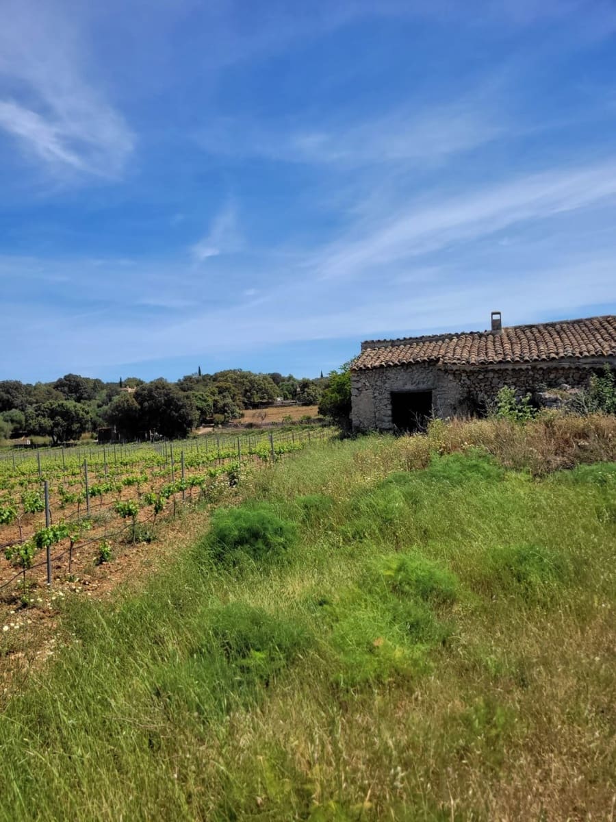 Ruin til salg i Costitx - € 620.000 (Ref: 8523482)