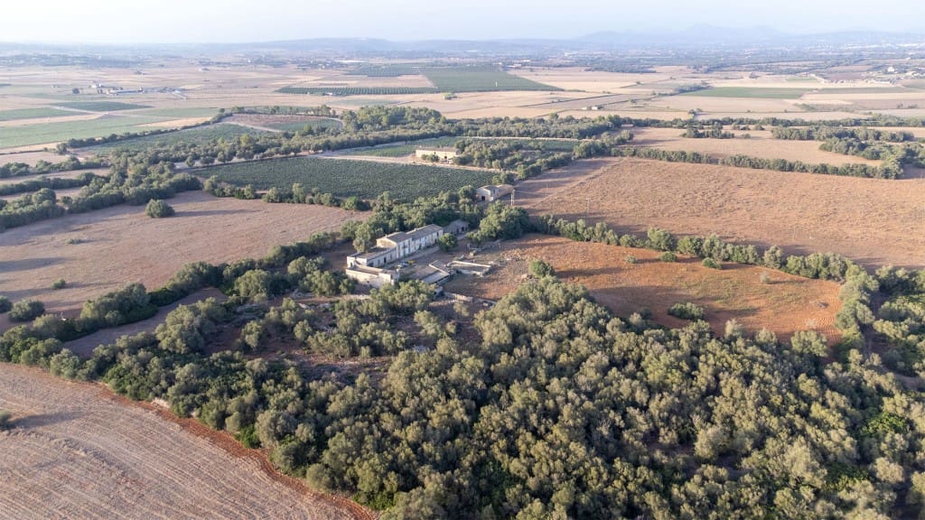 Finca/Casa di Campagna in vendita in Vilafranca de Bonany - 5.500.000 € (Rif: 8523488)