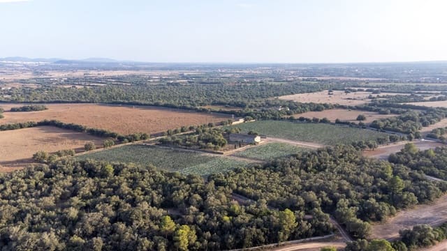 Finca/Casa di Campagna in vendita in Vilafranca de Bonany - 5.500.000 € (Rif: 8523488)