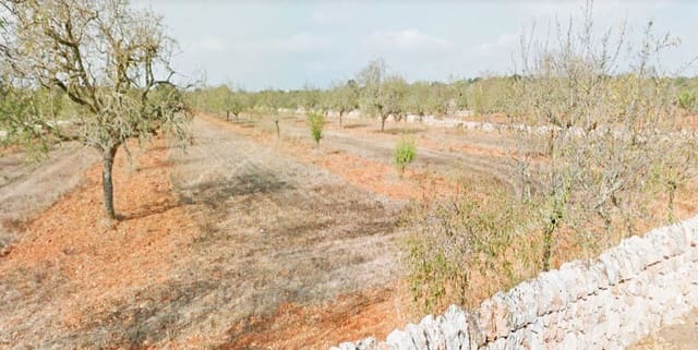 Undeveloped Land for sale in Santanyí - € 649,000 (Ref: 8523498)