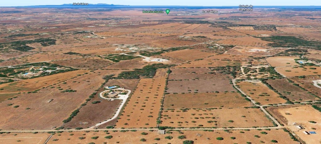 Terre non Aménagée à vendre à Santanyi - 649 000 € (Ref: 8523498)