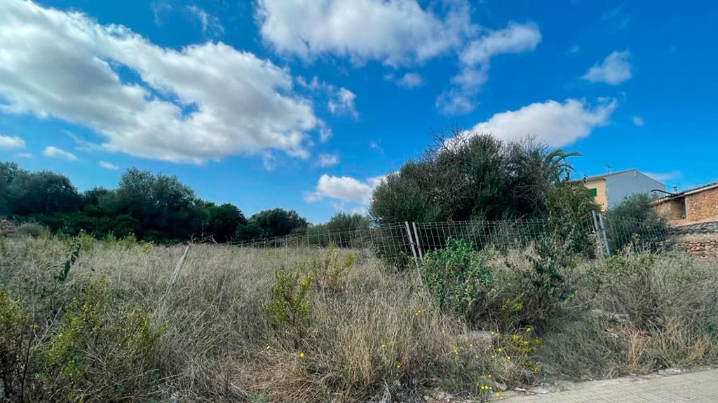 Terrain à Bâtir à vendre à Campos - 900 000 € (Ref: 8523507)