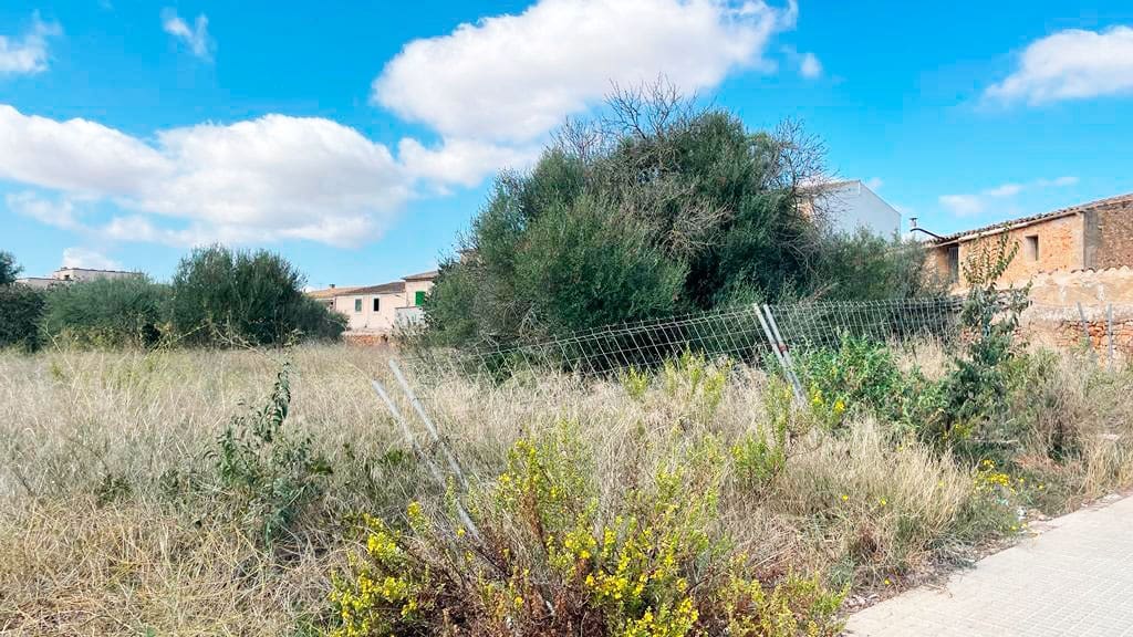 Terrain à Bâtir à vendre à Campos - 900 000 € (Ref: 8523507)