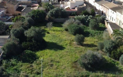 Terrain à Bâtir à vendre à Campos - 900 000 € (Ref: 8523507)