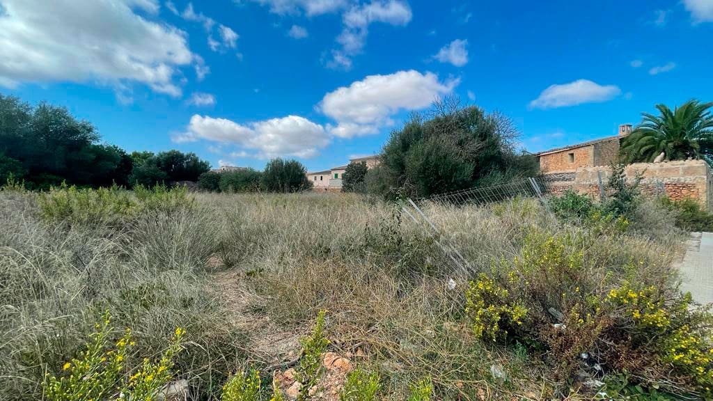 Terrain à Bâtir à vendre à Campos - 900 000 € (Ref: 8523507)