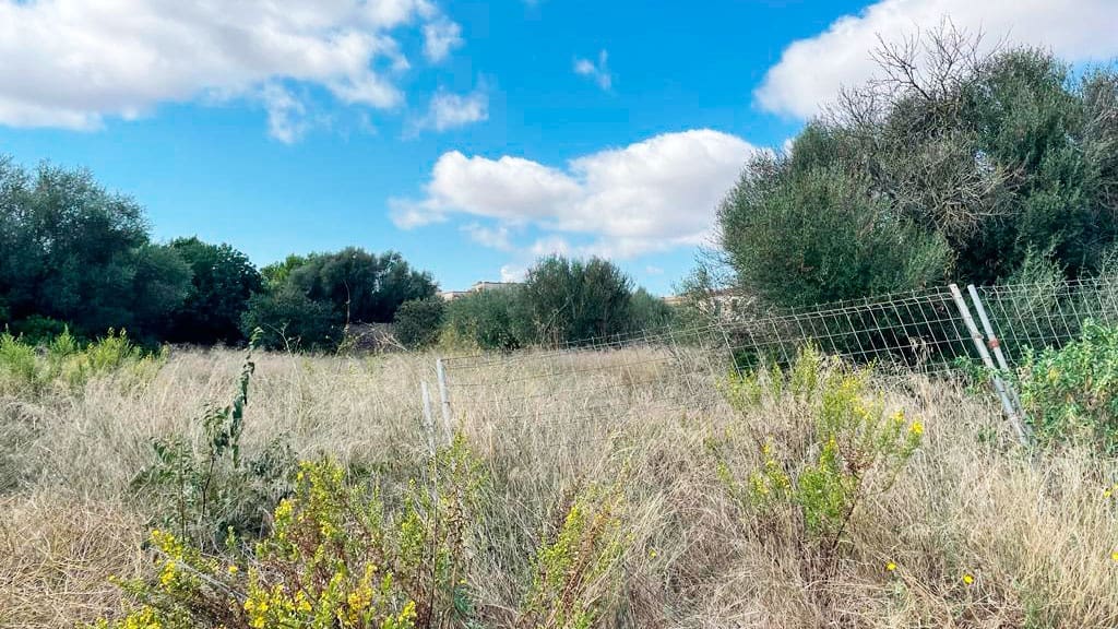 Terrain à Bâtir à vendre à Campos - 900 000 € (Ref: 8523507)