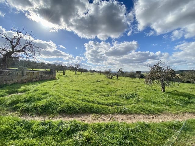 Finca/Landehus til salg i Petra - € 3.500.000 (Ref: 8523521)