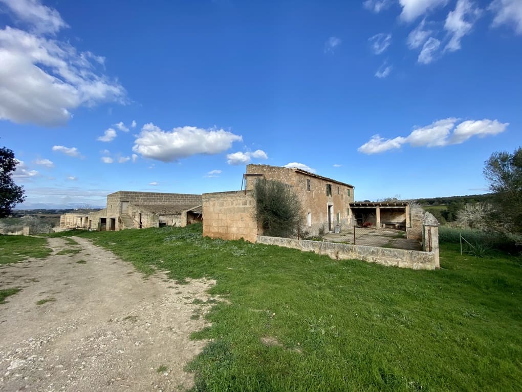 Finka/Dom wiejski na sprzedaż w Petra - 3 500 000 € (Ref: 8523521)