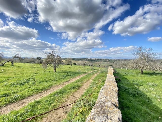 Finca/Landehus til salg i Petra - € 3.500.000 (Ref: 8523521)