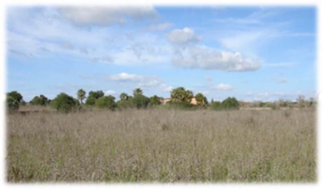 Lejlighed til salg i Llucmajor - € 450.000 (Ref: 8523609)