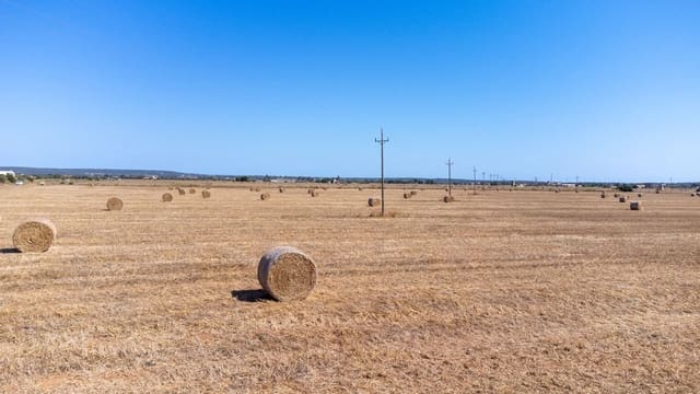 Finca/Maison de Campagne à vendre à Campos - 1 300 000 € (Ref: 8523630)
