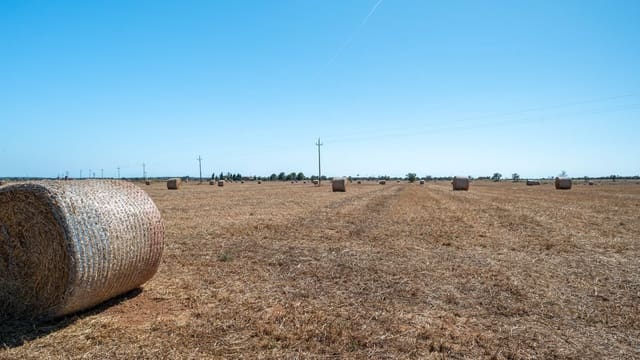 Finca/Maison de Campagne à vendre à Campos - 1 300 000 € (Ref: 8523630)