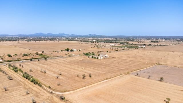 Finca/Maison de Campagne à vendre à Campos - 1 300 000 € (Ref: 8523630)