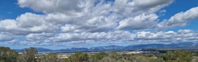 5 soverom Villa til salgs i L'Aranjassa / S'Aranjassa, Palma de Mallorca med svømmebasseng - € 2 950 000 (Ref: 8524905)