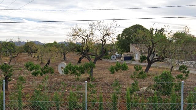Undeveloped Land for sale in Pollensa / Pollença - € 950,000 (Ref: 8524964)