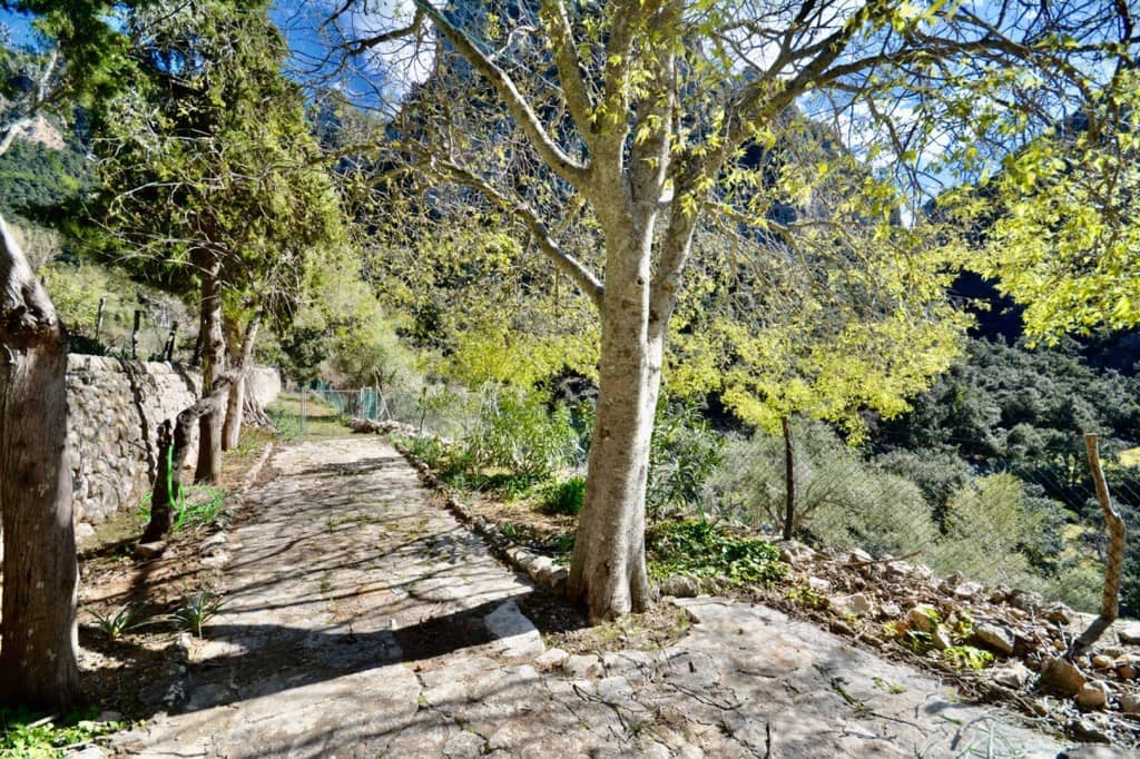 7 camera da letto Finca/Casa di Campagna in vendita in Escorca con piscina - 1.495.000 € (Rif: 8524965)