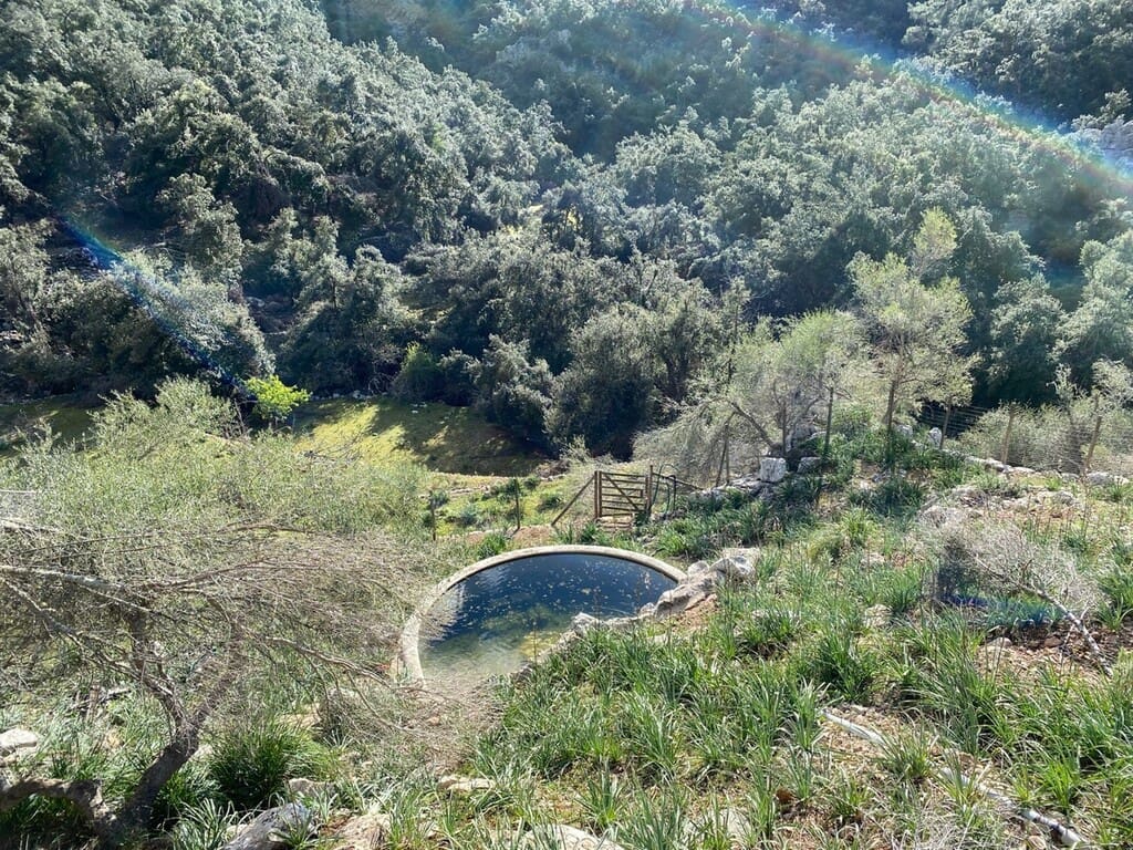 7 bedroom Finca/Country House for sale in Escorca with pool - € 1,495,000 (Ref: 8524965)