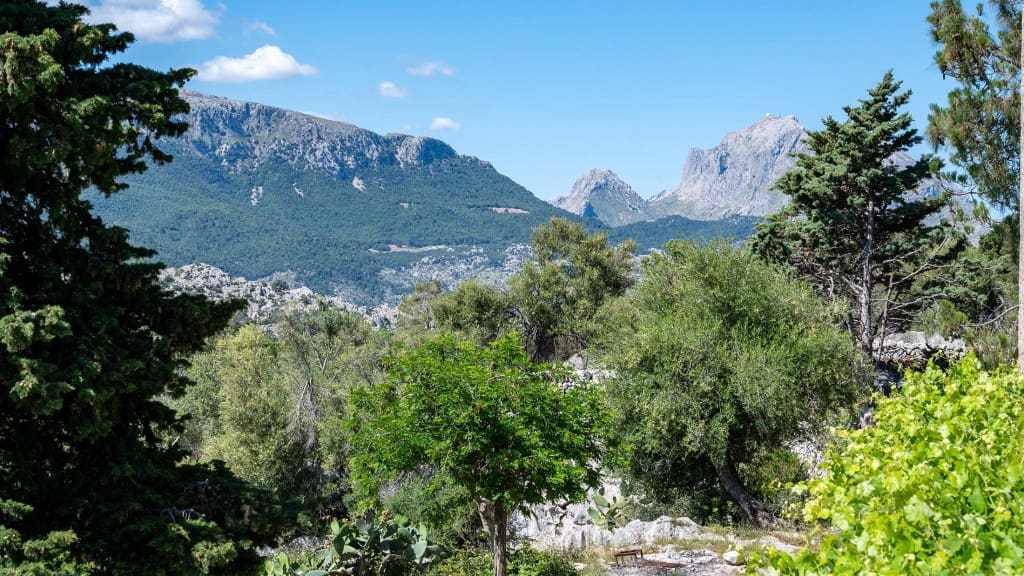 7 camera da letto Finca/Casa di Campagna in vendita in Escorca - 5.400.000 € (Rif: 8524966)