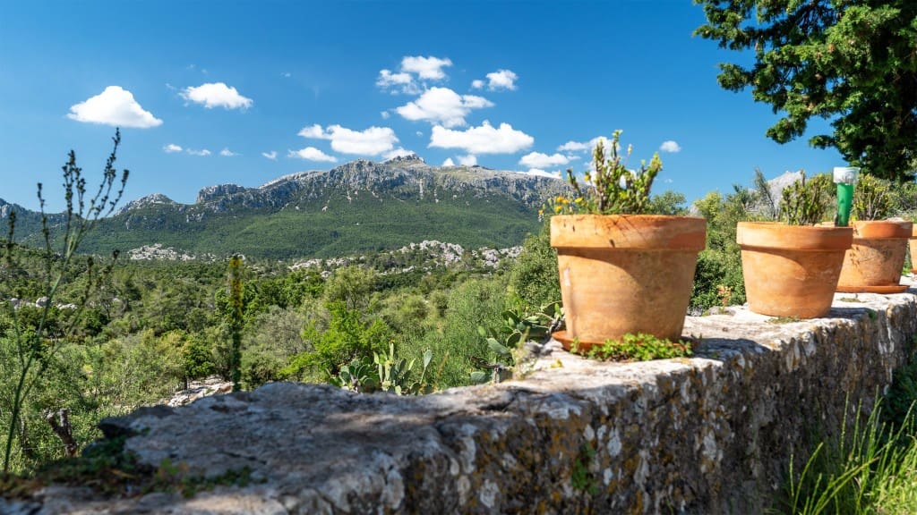 7 camera da letto Finca/Casa di Campagna in vendita in Escorca - 5.400.000 € (Rif: 8524966)