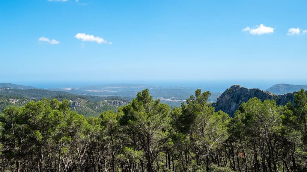 2 soveværelse Finca/Landehus til salg i Puigpunyent med swimmingpool - € 799.000 (Ref: 8527608)