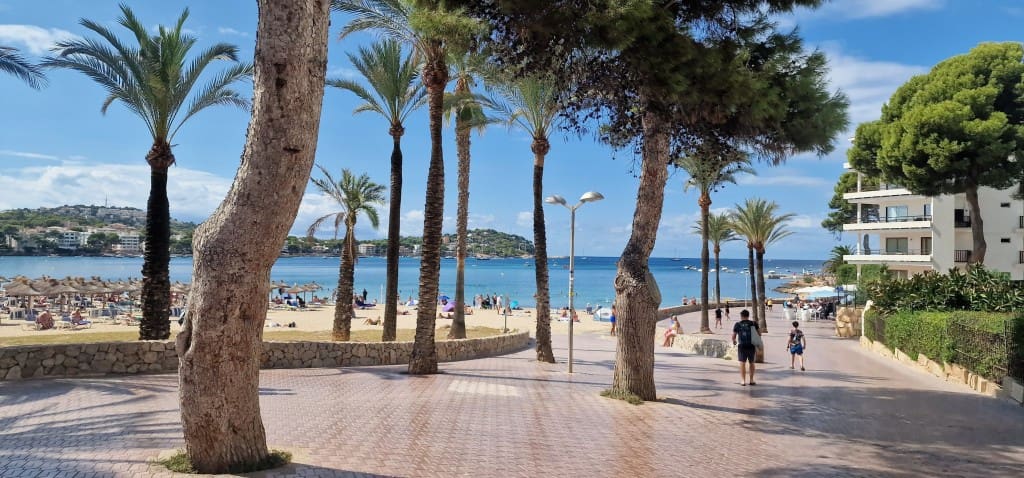 Erhverv til salg i Santa Ponsa - € 500.000 (Ref: 8559521)
