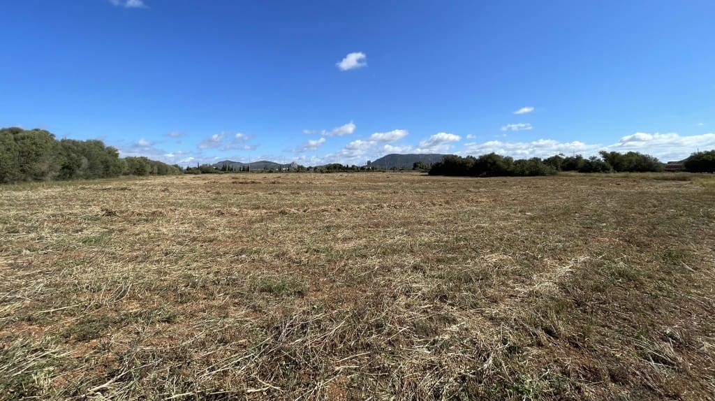 Grond te koop in Llucmajor - € 200.000 (Ref: 8636316)