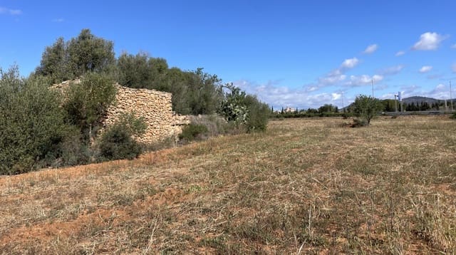 Undeveloped Land for sale in Llucmajor - € 200,000 (Ref: 8636316)