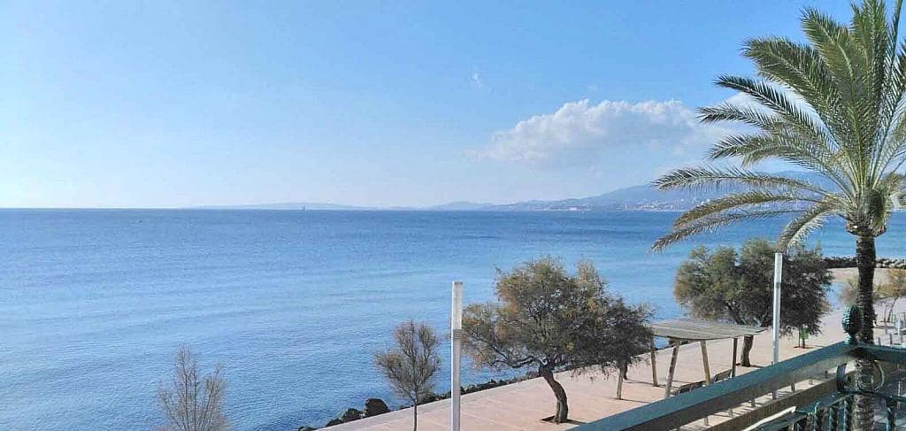 3 soveværelse Lejlighed til leje i Palma de Mallorca - € 2.500 (Ref: 8907387)