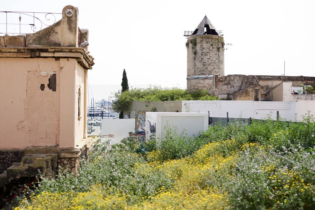 1 makuuhuone Huoneisto myytävänä paikassa Palma de Mallorca - 1 500 000 € (Ref: 8937054)