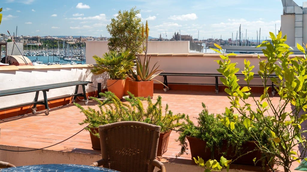 4 chambre Appartement à vendre à Palma de Mallorca - 1 975 000 € (Ref: 8968058)