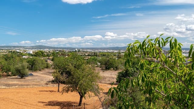 4 soverom Finca/Herregård til salgs i Son Anglada, Palma de Mallorca med svømmebasseng - € 1 800 000 (Ref: 9074933)