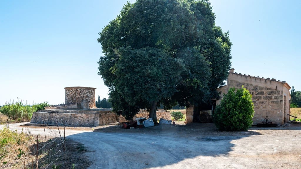 8 camera da letto Finca/Casa di Campagna in vendita in Muro - 7.500.000 € (Rif: 9100576)