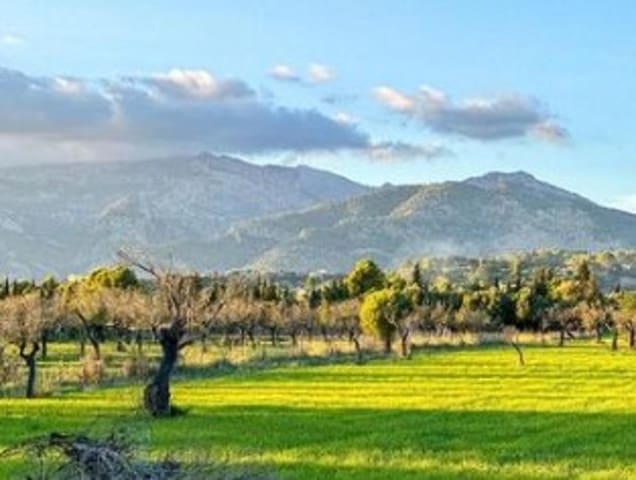 Bouwgrond te koop in Selva - € 490.000 (Ref: 9169418)