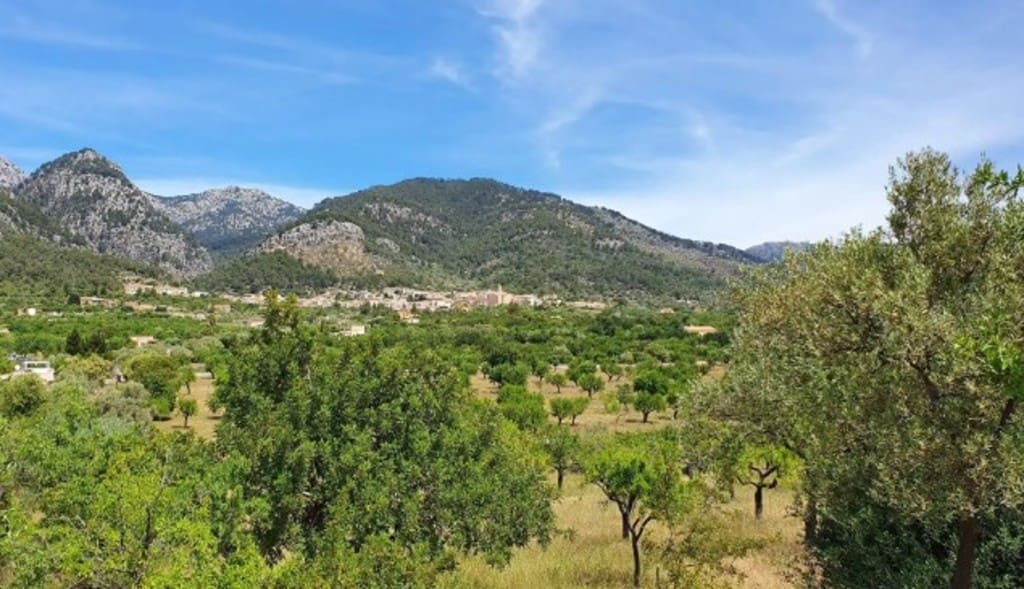 Byggetomt til salgs i Selva - € 490 000 (Ref: 9169418)